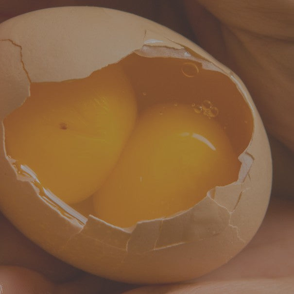 Close-up of a cracked egg with two yolks