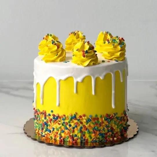 Sprinkle Drip Birthday Cake