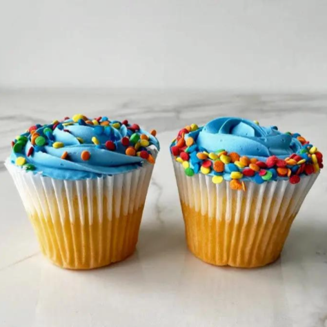 Two cupcakes with blue and yellow frosting and rainbow sprinkles