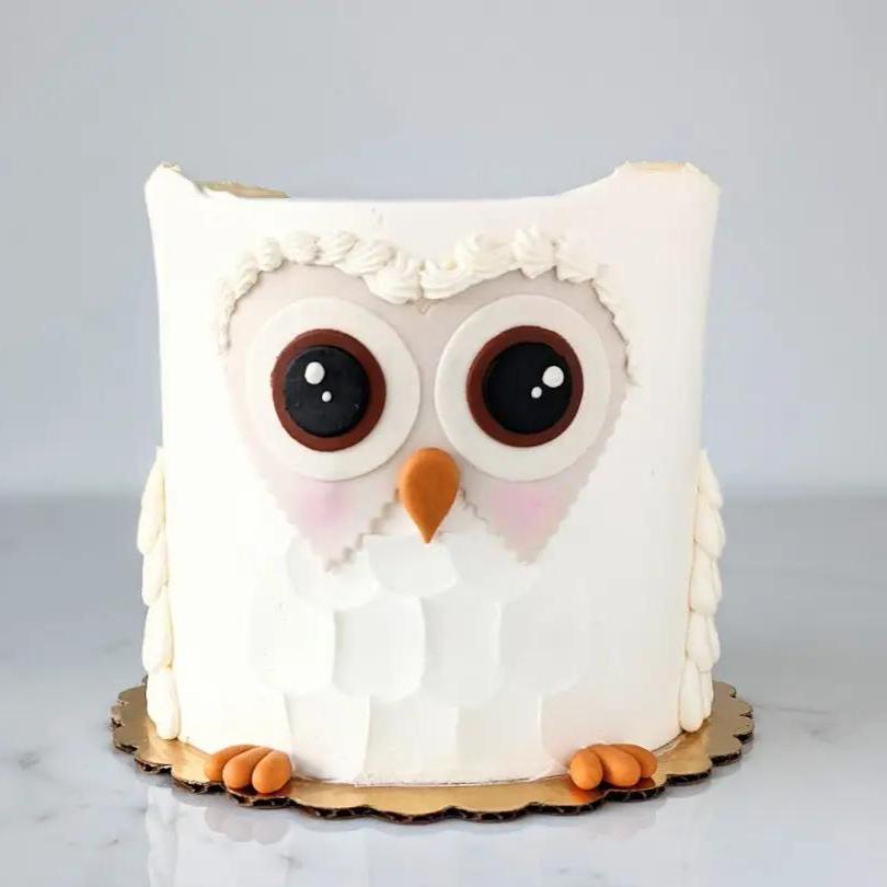 Owl Cake