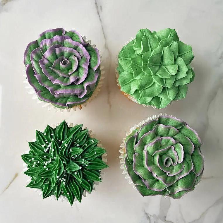 Succulent Pot Cupcakes (per dozen)
