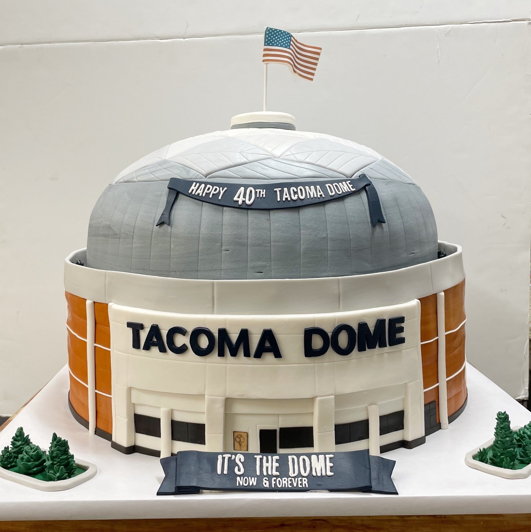 Cake designed to resemble the Tacoma Dome with decorative elements and text.