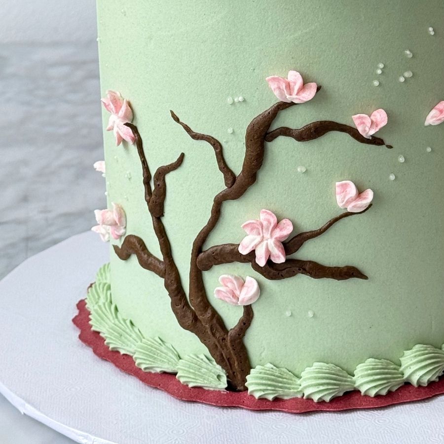 A close-up side view of a sage green cake featuring a hand-piped chocolate buttercream tree branch. Delicate pink and white cherry blossoms are scattered across the branch, with tiny white sugar pearls floating in the background. The base is finished with a pale green shell border over a deep red scalloped edge.