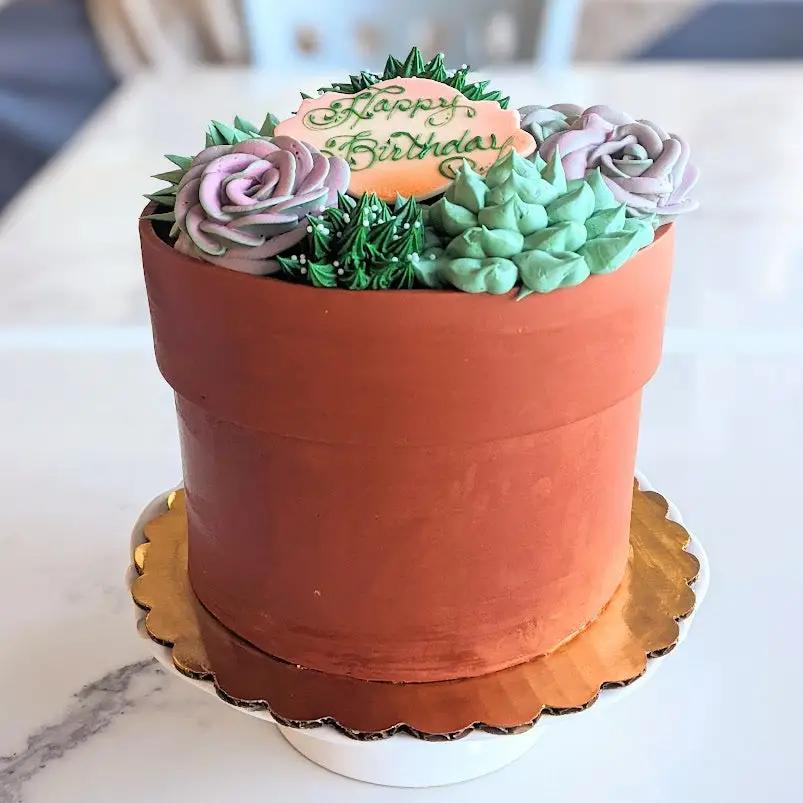 Succulent Pot Cake