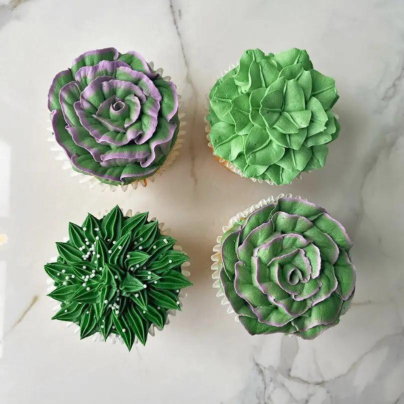 Succulent Pot Cupcakes (per dozen)